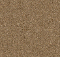 Ковровая плитка Voxflor Chanson Chanson 11 фото 1 | FLOORDEALER