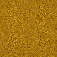 Burmatex Axis 11492 Turmeric фото 1 | FLOORDEALER