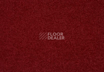 Ковролин Lano Lounge 120 Coral фото 1 | FLOORDEALER
