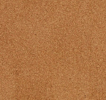 Пробковое покрытие Cork Go GA01002   Moment фото 1 | FLOORDEALER