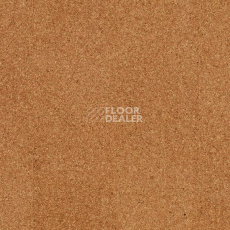 Cork Go GA01002   Moment фото 1 | FLOORDEALER