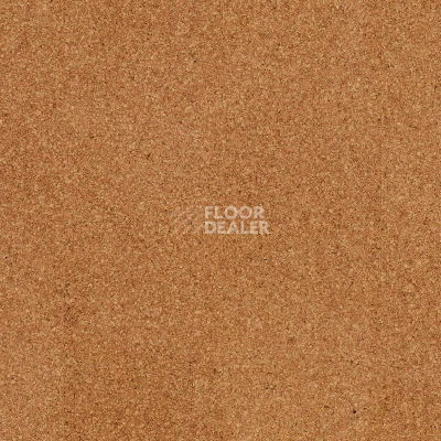 Пробковое покрытие Cork Go GA01002   Moment фото 1 | FLOORDEALER