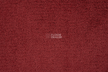 Lano Sense Pure 446 фото 2 | FLOORDEALER