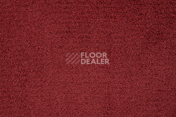 Lano Sense Pure 446 фото 2 | FLOORDEALER