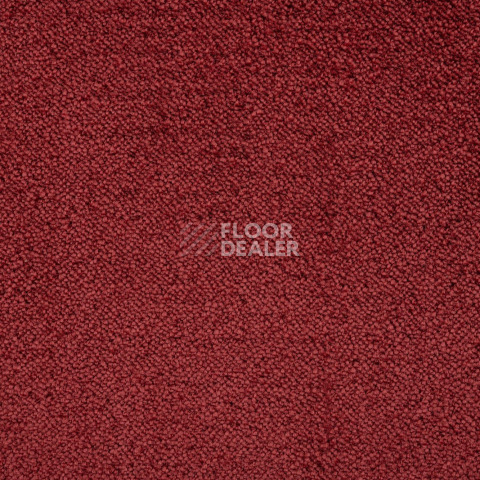 Lano Sense Pure 446 фото 2 | FLOORDEALER