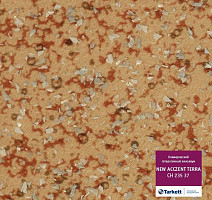 Линолеум Tarkett Acczent Terra CH 235 55 фото 1 | FLOORDEALER