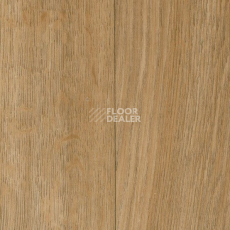 Линолеум Taralay Initial Compact (wood) 0636 Esterel Blond фото 1 | FLOORDEALER