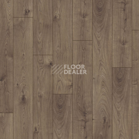 Kronotex Robusto 12мм d3591 Дуб Атлас Кофейный фото 5 | FLOORDEALER