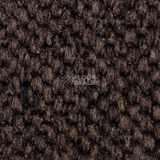 Ковролин Carpet Concept Eco Cut 54577 фото 1 | FLOORDEALER