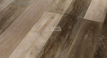 Ламинат Parador Trendtime 1 1601433 Хаотичный Дикий фото 1 | FLOORDEALER