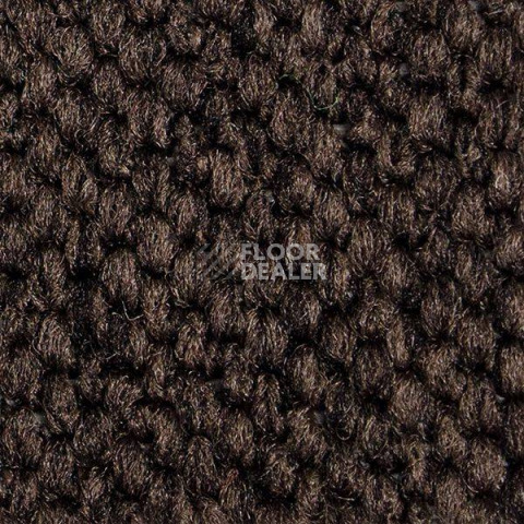 Ковролин Carpet Concept Eco Cut 54577 фото 1 | FLOORDEALER