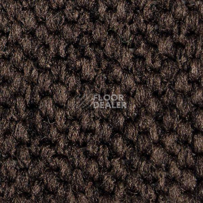 Ковролин Carpet Concept Eco Cut 54577 фото 1 | FLOORDEALER
