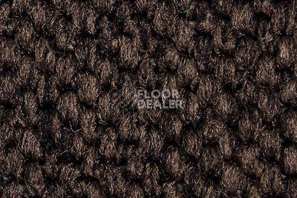 Ковролин Carpet Concept Eco Cut 54577 фото 1 | FLOORDEALER