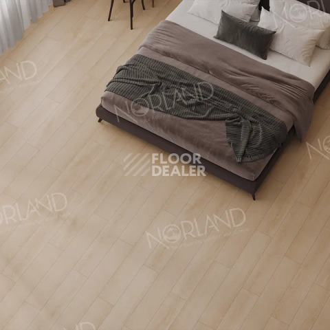 Norland Elegant Strong 12мм Дуб Дол LF302-03 фото 2 | FLOORDEALER