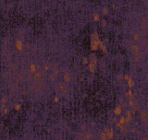 Ковровая плитка Halbmond Set it up 15017 a 03 фото 1 | FLOORDEALER