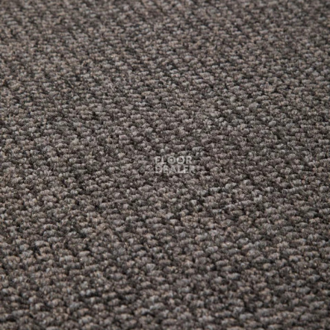 Ковролин Condor Dynamic 90 фото 1 | FLOORDEALER