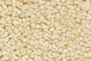 Ковролин Girloon Body1 831 фото  | FLOORDEALER