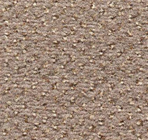 Ковролин Condor Carpets Argus 189 фото 1 | FLOORDEALER