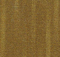 Ковролин AW Villa d`este 54 фото 1 | FLOORDEALER