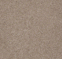 Ковролин Shaw Design Texture Platinum 701 фото 1 | FLOORDEALER