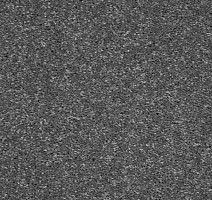 Ковролин AW Masquerade Gala 96 фото 1 | FLOORDEALER