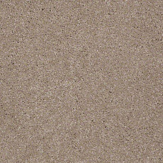 Ковролин Shaw Design Texture Platinum 701 фото 1 | FLOORDEALER