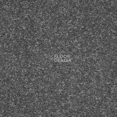 Ковролин AW Masquerade Gala 96 фото 1 | FLOORDEALER