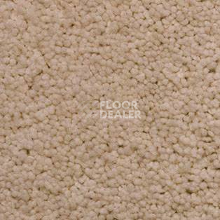 Ковролин AW Vivendi Vigour 37 фото 1 | FLOORDEALER