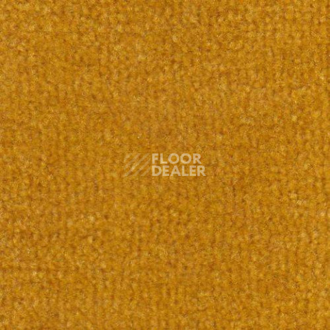 Ковролин Дюна Тафт Venetto 821 фото 1 | FLOORDEALER