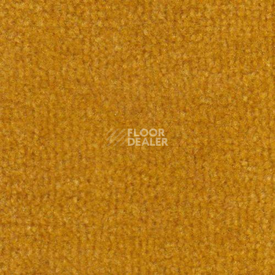 Ковролин Дюна Тафт Venetto 821 фото 1 | FLOORDEALER
