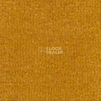 Ковролин Дюна Тафт Venetto 821 фото 1 | FLOORDEALER