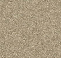 Ковролин Apoluza Send 1000 Send 1000 фото 1 | FLOORDEALER