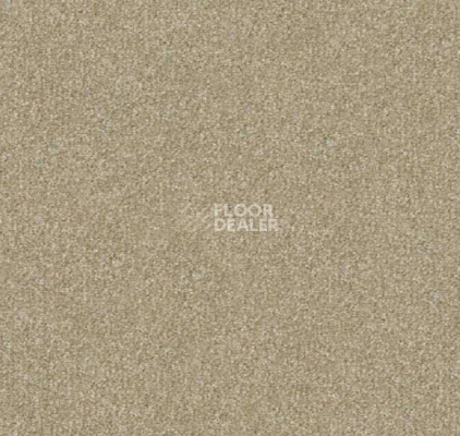 Ковролин Apoluza Send 1000 Send 1000 фото 1 | FLOORDEALER