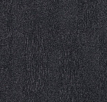 Ковролин Flotex Colour s 482001 Penang Anthracite фото 1 | FLOORDEALER