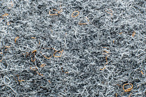 Forbo Akzent 10712 Nickel фото 3 | FLOORDEALER