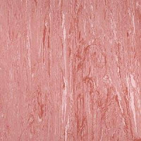 Линолеум Polyflor Xl Pu 3860 фото 1 | FLOORDEALER