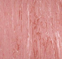 Линолеум Polyflor Xl Pu 3860 фото 1 | FLOORDEALER