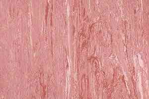 Линолеум Polyflor Xl Pu 3860 фото  | FLOORDEALER