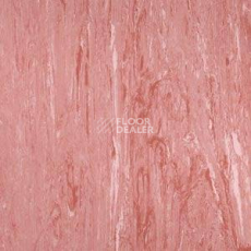 Линолеум Polyflor Xl Pu 3860 фото 1 | FLOORDEALER