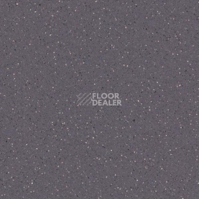 Линолеум Tarkett Zenit 706 фото 1 | FLOORDEALER