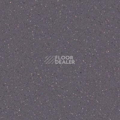 Линолеум Tarkett Zenit 706 фото 1 | FLOORDEALER