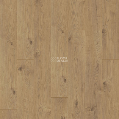 Ламинат Kronotex Mammut d4152 Дуб Эверест Натуральный фото 5 | FLOORDEALER