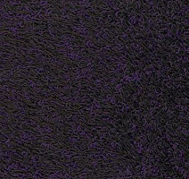 Ковролин Vorwerk Fabula 3h41 фото 1 | FLOORDEALER