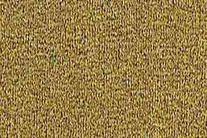 Ковролин Balta ITC Campus 1028 фото  | FLOORDEALER