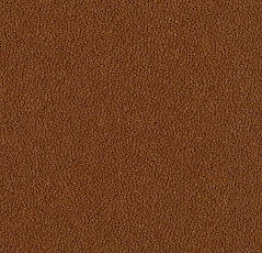 Ковровая плитка Westbond Ibond Natural 9443 фото 1 | FLOORDEALER