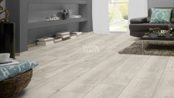 Kronotex Exquisit Plus d4787 Дуб Гала Белый фото 2 | FLOORDEALER