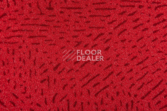 Vertigo Dot 1620 180 фото 2 | FLOORDEALER