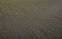 Кварцвиниловые полы Bolon Silence Ocular фото 1 | FLOORDEALER