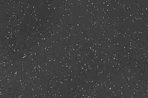 Кварцвиниловые полы Attraction Cleantech 600x600 INDIANA_8837_Songo фото  | FLOORDEALER