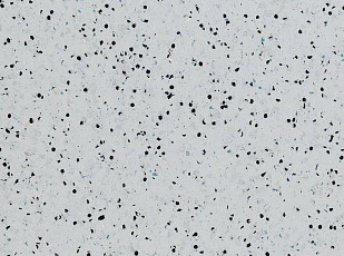 Линолеум Polyflor OHMega Ec 6006 фото 1 | FLOORDEALER